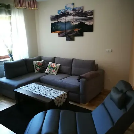 Apartament Hania Закопане Екстер'єр фото