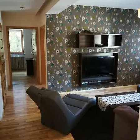 Apartament Hania Закопане Екстер'єр фото